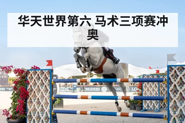 horse riding competition